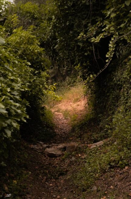 Photo spectacular trails