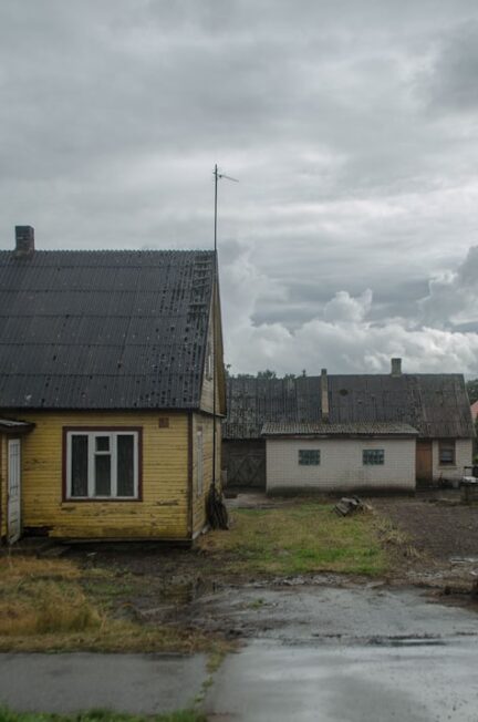 Cum să mănânci ca un localnic: Ghid de Street Food în jurul lumii