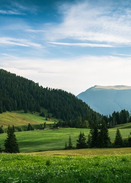 Carduri și schimb valutar: Cum să gestionezi banii în vacanță