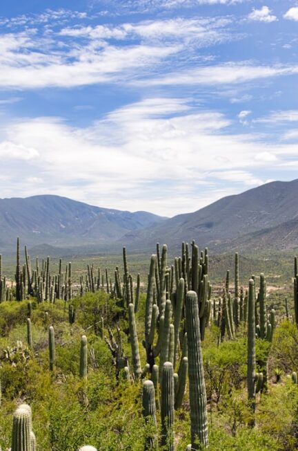 Photo botanical gardens and national parks