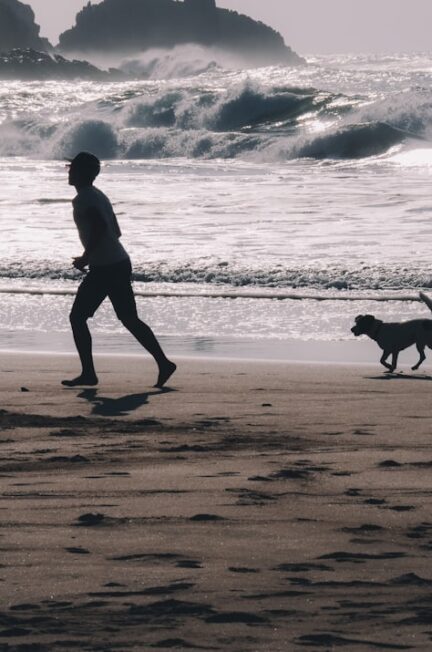 Photo travel with pet