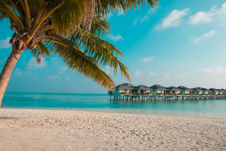 vacation cost-saving