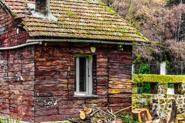 Cabană de lemn izolată într-o pădure de brazi, cu fum ușor ieșind din horn