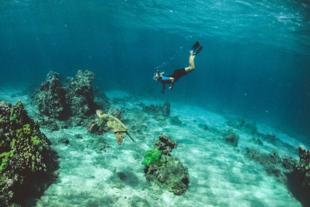 Photo scuba diving