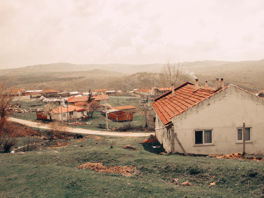 Photo zâmbetul